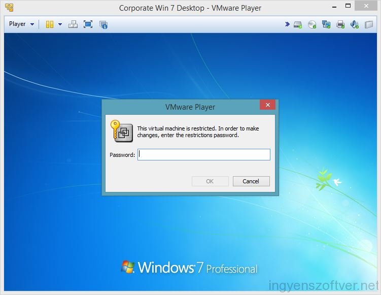 windows xp pro vmware image